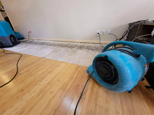 Professional Basement Flood Cleanup technician working in Pasadena, TX